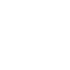 Instagram light icon